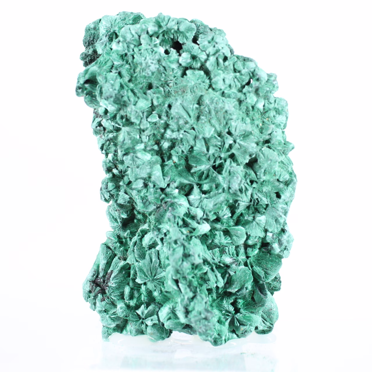 Malacite fibrosa del Congo, pietra da collezione dalla lucentezza satinata