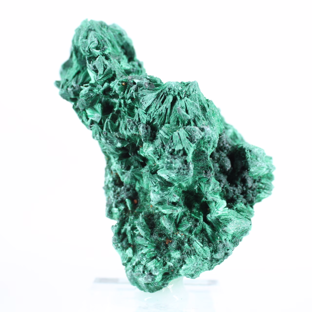 Pietra di malacite dalla RDC in fibre raggianti, base acrilica