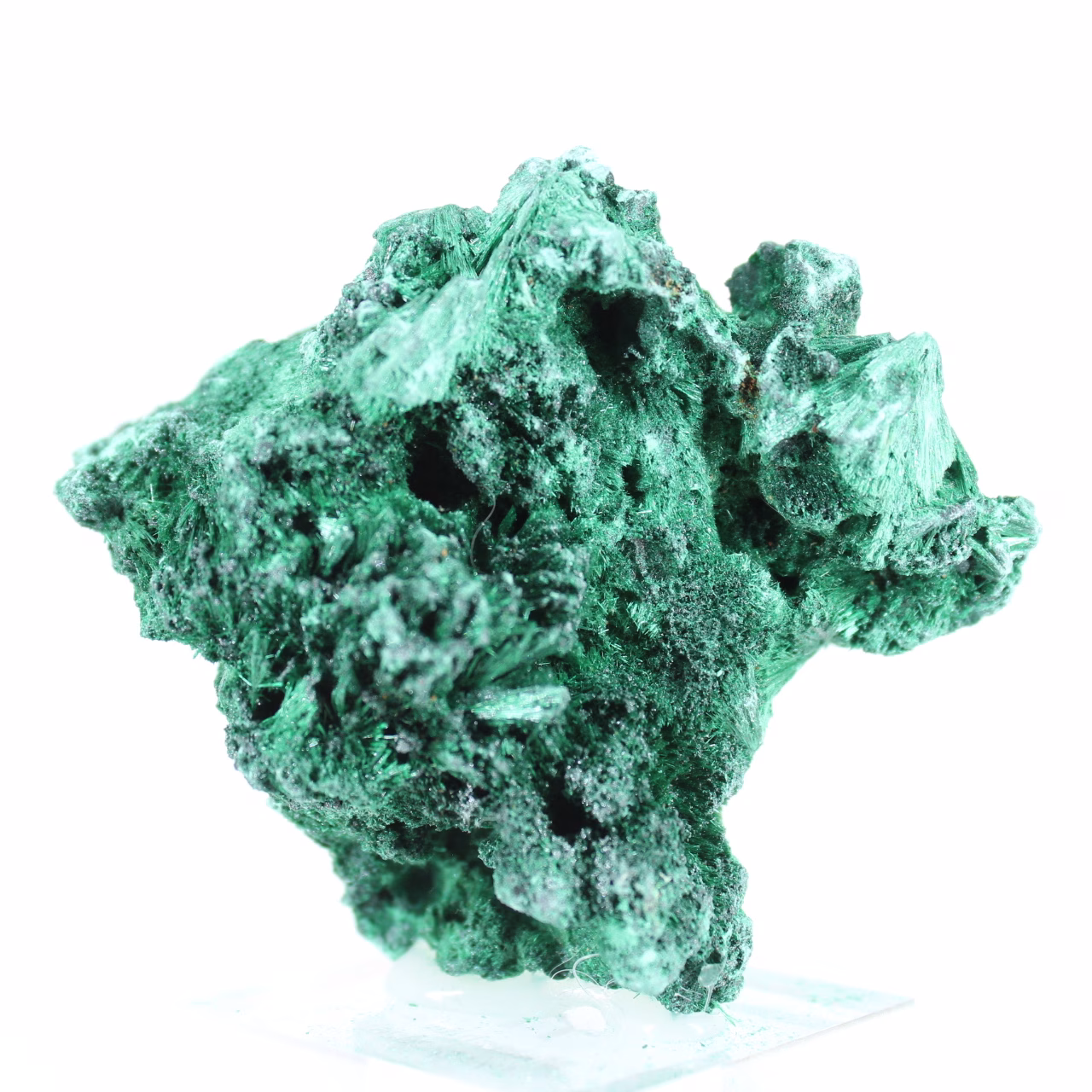 Malacite naturale a struttura fibrosa dal Congo, pezzo su base