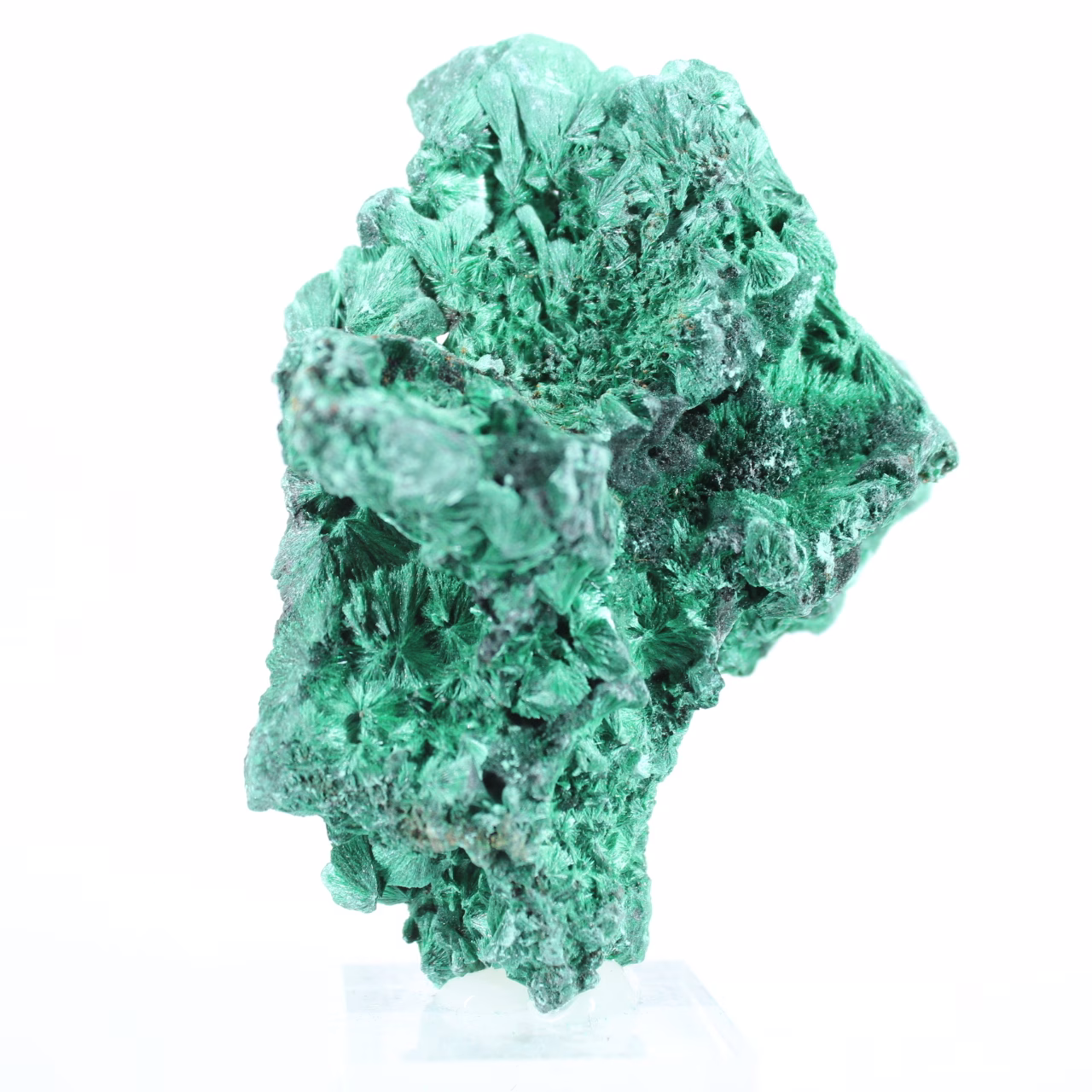 Malacite dal Congo a struttura fibrosa, esemplare minerale su base