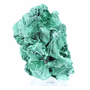 Malacite densa a fibre compatte del Congo, minerale su acrilico