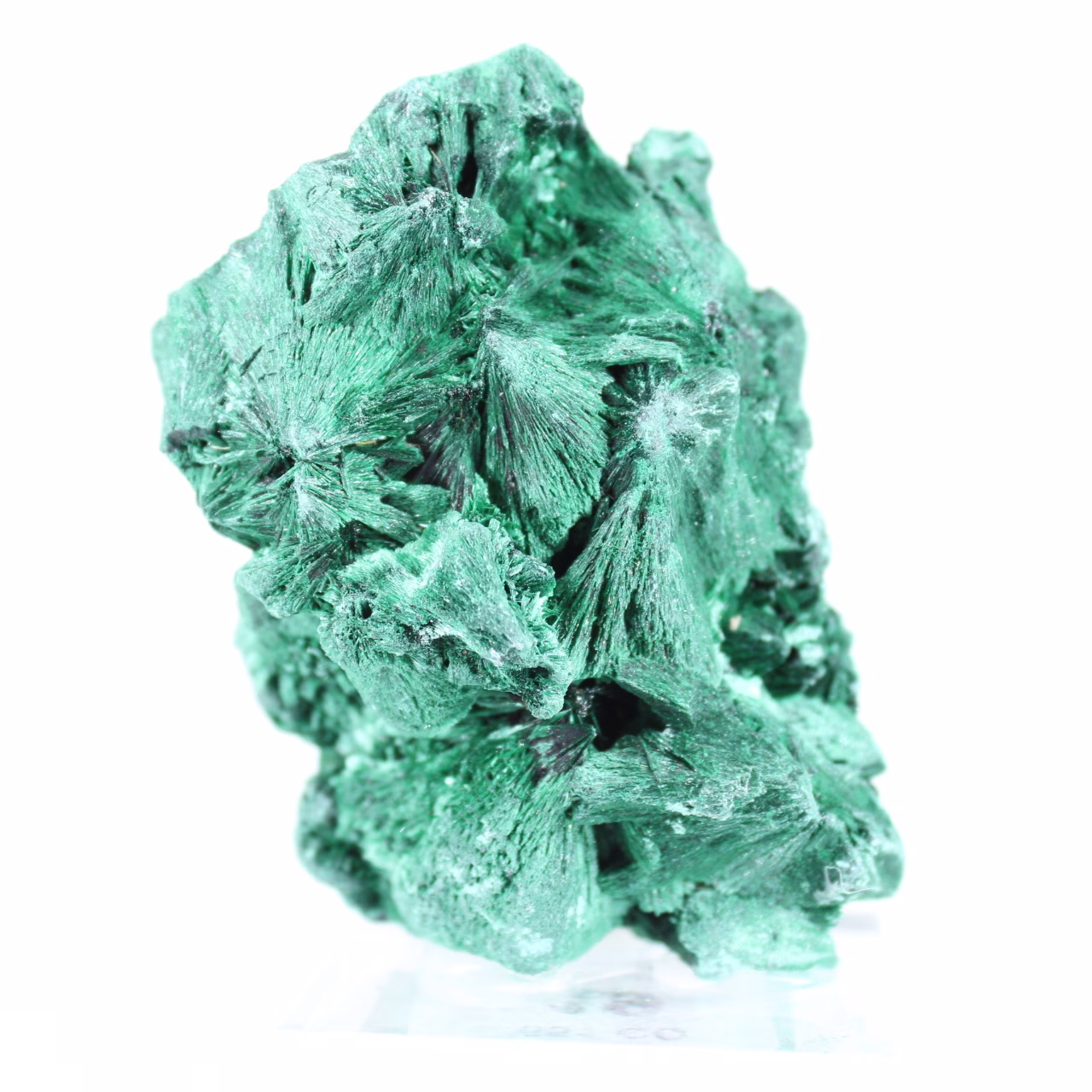 Malacite densa a fibre compatte del Congo, minerale su acrilico