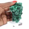 Malacite fibrosa della Repubblica Democratica del Congo su base - 6