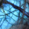 Pietra Naturale Labradorite Levigata Madagascar Collezione - 4