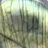 Pietra Ornamentale Labradorite del Madagascar per Vetrina - 4