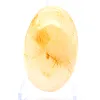 Quarzo giallo del Madagascar in ciottolo levigato da collezione - 1