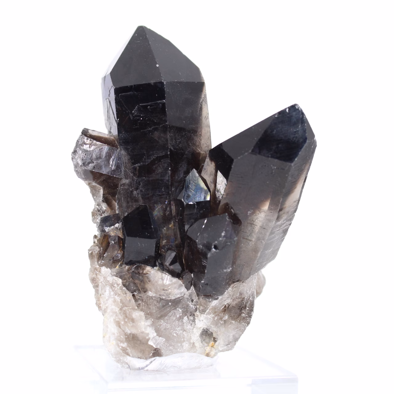 Quarzo morione nero del Brasile, cristallo unico con base in acrilico