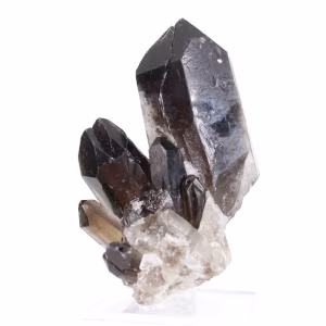 Cristallo tozzo di quarzo morione del Brasile, esemplare minerale su base
