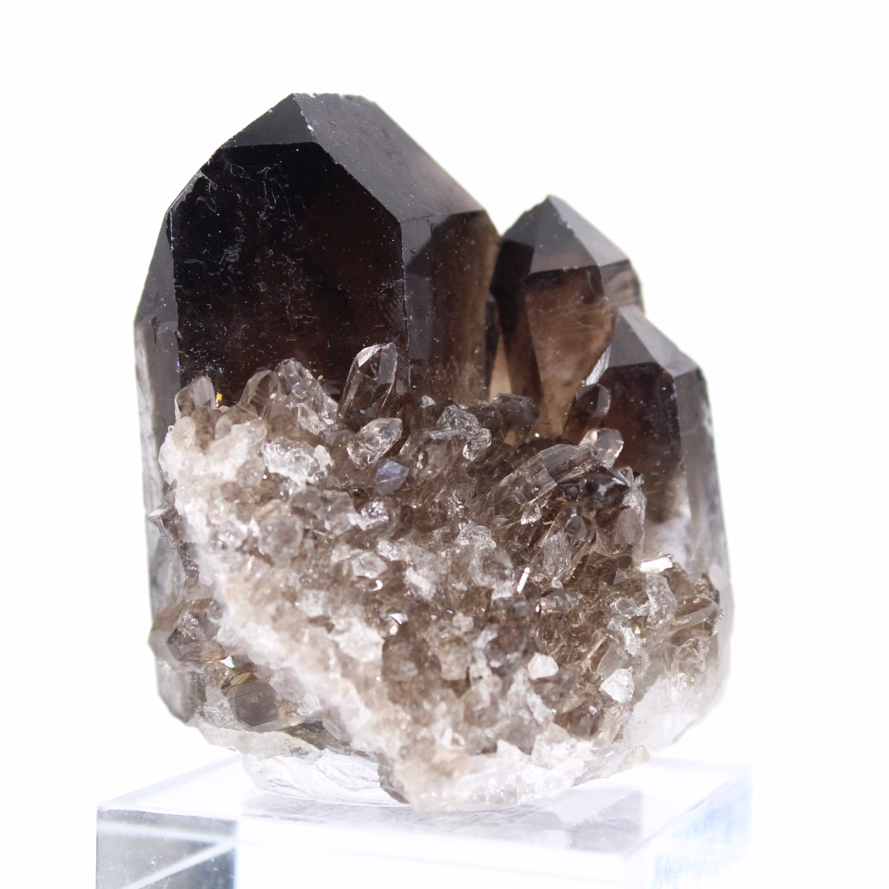 Quarzo morione del Brasile, cristallo nero naturale montato su base