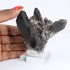 Quarzo morione brasiliano, cristallo decorativo presentato su base - 1