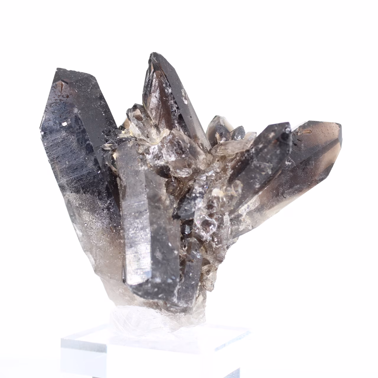 Quarzo morione brasiliano, cristallo decorativo presentato su base