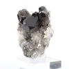 Cristallo di quarzo morione di origine brasiliana, espositore in acrilico - 2