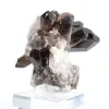 Cristallo di quarzo morione di origine brasiliana, espositore in acrilico - 4