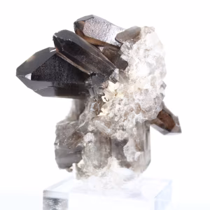 Cristallo di quarzo morione di origine brasiliana, espositore in acrilico