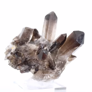 Cristallo di quarzo morione del Brasile, minerale nero montato su base