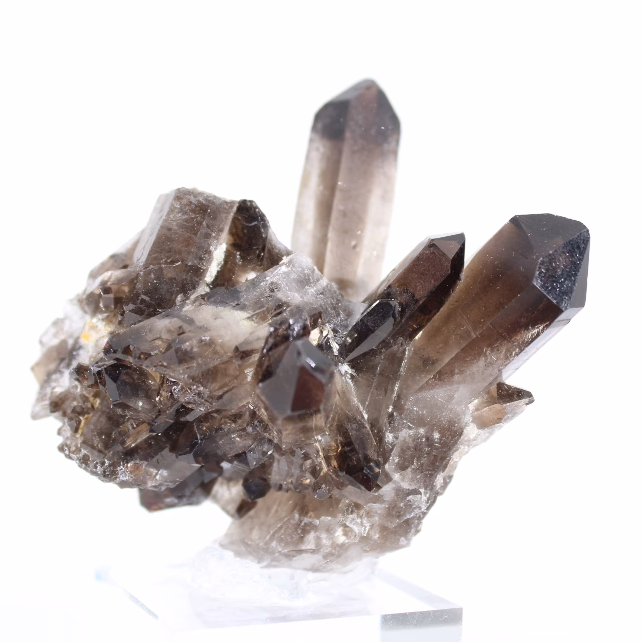 Cristallo di quarzo morione del Brasile, minerale nero montato su base