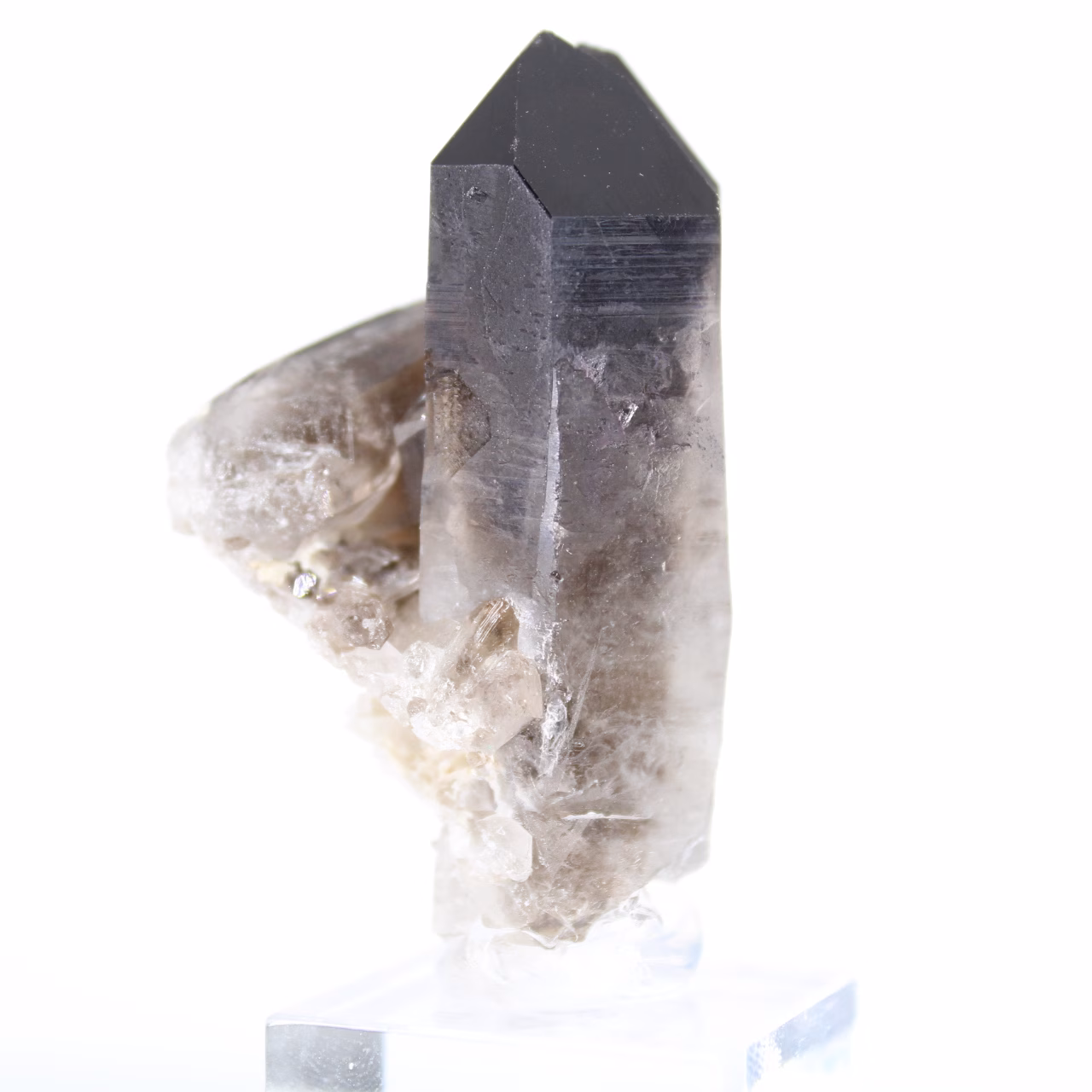 Mini cristallo di quarzo morione del Brasile, pietra nera su base