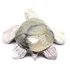 Tartaruga scolpita in steatite naturale della Bolivia - 4
