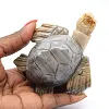 Tartaruga in pietra di steatite scolpita della Bolivia - 0