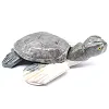 Tartaruga decorativa in steatite naturale boliviana - 1