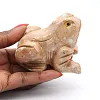 Rana scolpita in steatite della Bolivia - 0