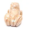 Rana scolpita in steatite della Bolivia - 4