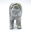 Cane in steatite: oggetto animalier scolpito della Bolivia - 2
