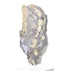 Schalenblende della Polonia in fetta levigata su base acrilica - 2