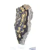 Schalenblende della Polonia in fetta levigata su base acrilica - 4