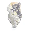 Schalenblende della Polonia in fetta levigata su base acrilica - 5