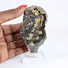 Schalenblende della Polonia in fetta levigata su base acrilica - 1