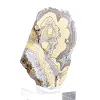 Schalenblende polacca in fetta bicolore su supporto trasparente - 2