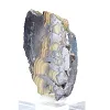 Schalenblende della Polonia, fetta minerale grezza e levigata - 4