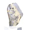 Schalenblende della Polonia in fetta con base trasparente - 2
