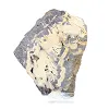 Schalenblende della Polonia in fetta con base trasparente - 5