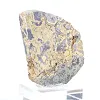 Schalenblende polacca in fetta levigata, esemplare mineralogico - 2