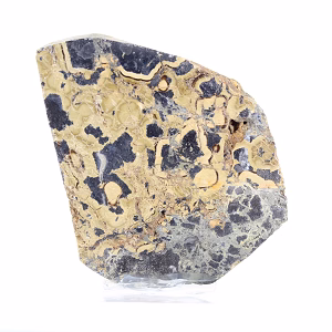 Schalenblende polacca in fetta levigata, esemplare mineralogico