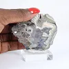 Schalenblende della Polonia, oggetto minerale su base acrilica - 1