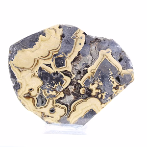 Fetta di Schalenblende polacca per collezione di minerali