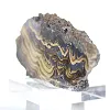 Schalenblende polacca in fetta allungata, faccia levigata - 4
