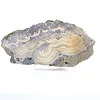 Schalenblende polacca in fetta allungata, faccia levigata - 5