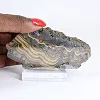 Schalenblende polacca in fetta allungata, faccia levigata - 1