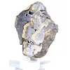 Schalenblende della Polonia in fetta da collezione su base - 4