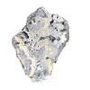 Schalenblende della Polonia in fetta da collezione su base - 5