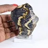 Schalenblende della Polonia in fetta da collezione su base - 1