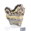 Schalenblende polacca grezza e levigata, pezzo da esporre - 4