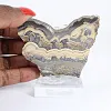 Schalenblende polacca grezza e levigata, pezzo da esporre - 1