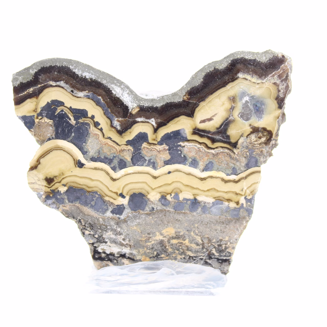 Schalenblende polacca grezza e levigata, pezzo da esporre