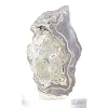Schalenblende della Polonia in fetta spessa, faccia levigata - 2
