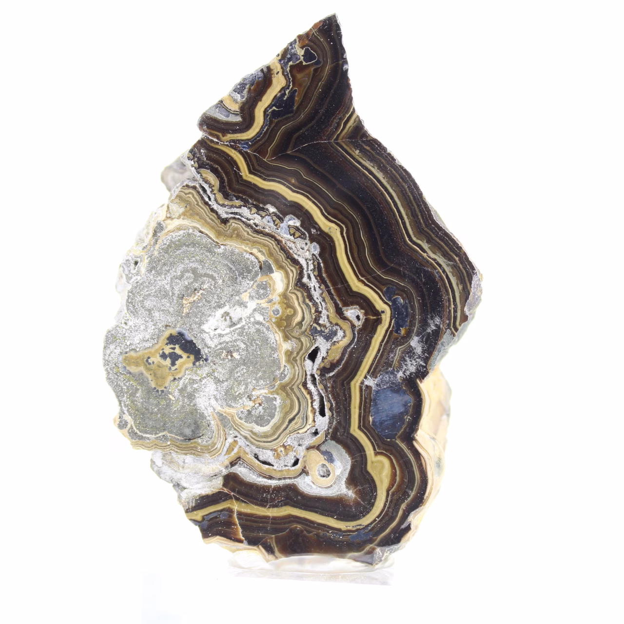Schalenblende della Polonia in fetta spessa, faccia levigata